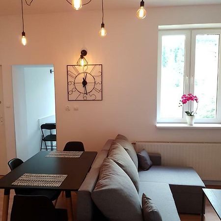 Apartament City Center Grand Loft Krynica Zdroj Bagian luar foto